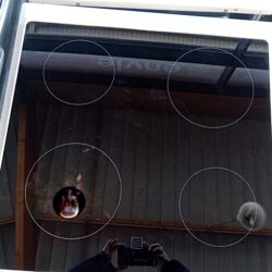 Cuisinière électrique ELECTROLUX