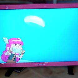 TV SCHNEIDER